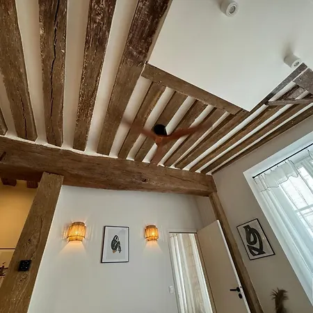Luxe Paris Seine Daire